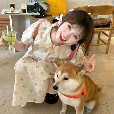 智慧风暴